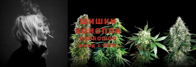 как найти наркотики  Новоалтайск  Бошки Шишки SATIVA & INDICA 